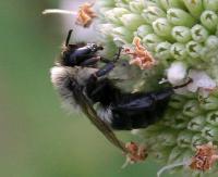 View photo in a new window