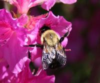 View photo in a new window