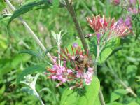 View photo in a new window