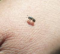 View photo in a new window