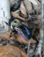 View photo in a new window