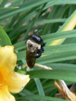 View photo in a new window