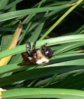 View photo in a new window