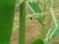 View photo in a new window