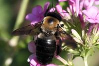 View photo in a new window