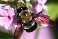 View photo in a new window