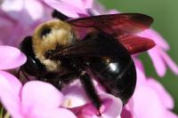 View photo in a new window