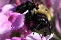 View photo in a new window