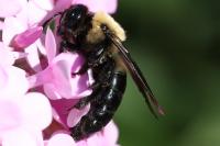 View photo in a new window