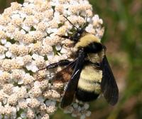 View photo in a new window