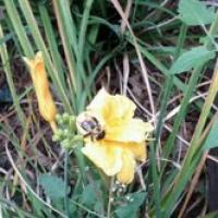 View photo in a new window