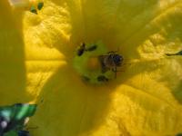 View photo in a new window