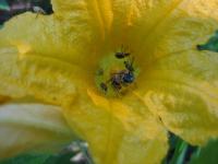 View photo in a new window