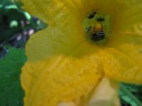 View photo in a new window