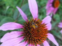 View photo in a new window