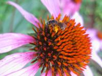 View photo in a new window