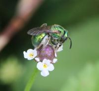 View photo in a new window