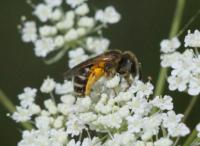 View photo in a new window