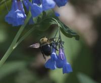 View photo in a new window