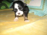 View photo in a new window