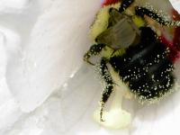 View photo in a new window