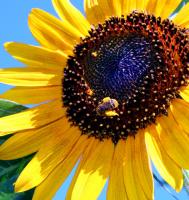 View photo in a new window