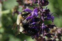 View photo in a new window