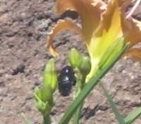 View photo in a new window