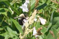 View photo in a new window