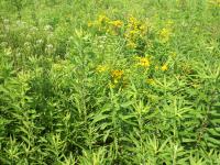 View photo in a new window