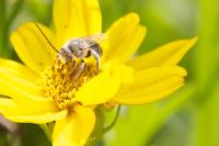 View photo in a new window