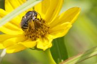 View photo in a new window