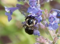 View photo in a new window