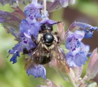 View photo in a new window