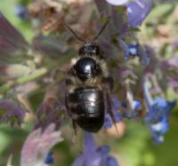 View photo in a new window