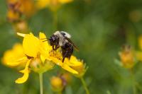 View photo in a new window