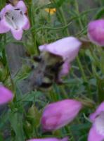 View photo in a new window