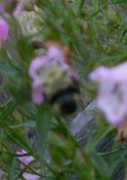 View photo in a new window