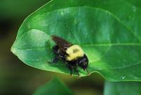 View photo in a new window