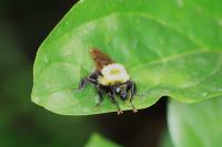 View photo in a new window