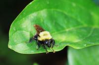 View photo in a new window