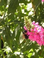 View photo in a new window