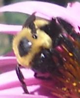 View photo in a new window