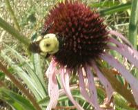 View photo in a new window