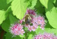 View photo in a new window