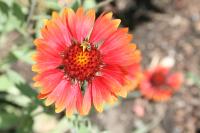 View photo in a new window