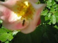 View photo in a new window