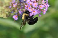 View photo in a new window