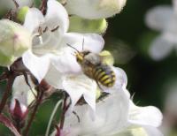 View photo in a new window