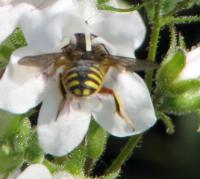 View photo in a new window